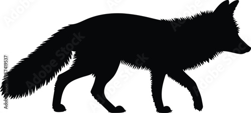 A black vector illustration shows a wild canine silhouette of a wolf and fox