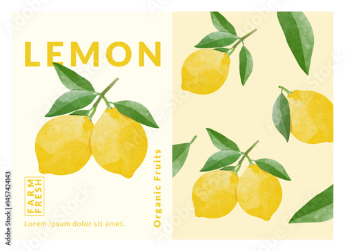 Lemon packaging design templates, watercolour style vector illustration.