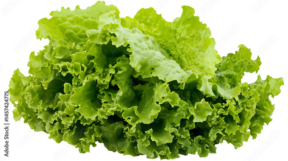A cluster of bright green lettuce leaves, crisp and fresh, isolated on white background A cluster of bright green lettuce leaves, crisp and fresh, isolated on white background
