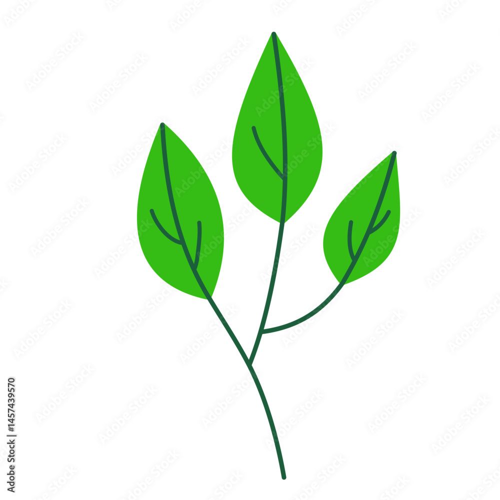 Fototapeta premium Leaf vector colorful on transparent background