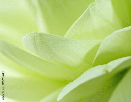 Vibrant, sunlit succulent petals unfurl in a lush, textured spiral, evoking a sense of natural growth and springtime renewal.