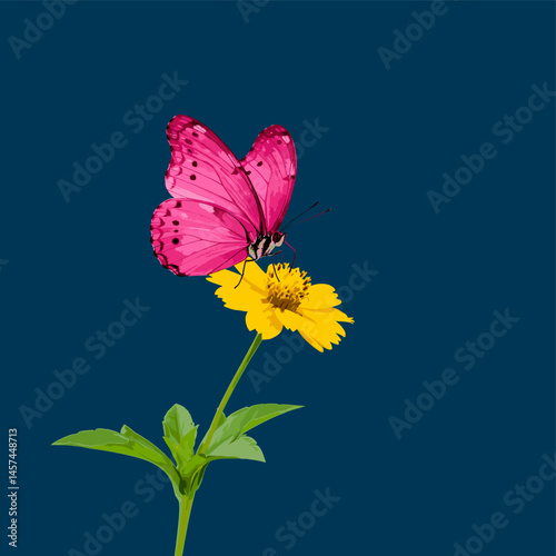 Crimson Wings on Golden Bloom: A vibrant pink butterfly delicately perches atop a sunny yellow flower, creating a stunning contrast against the deep blue backdrop.