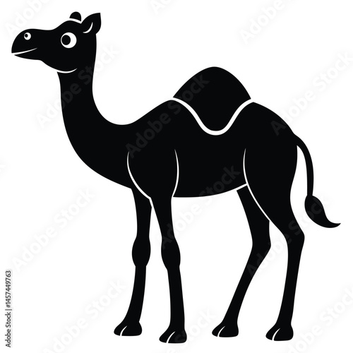 camel in the desert