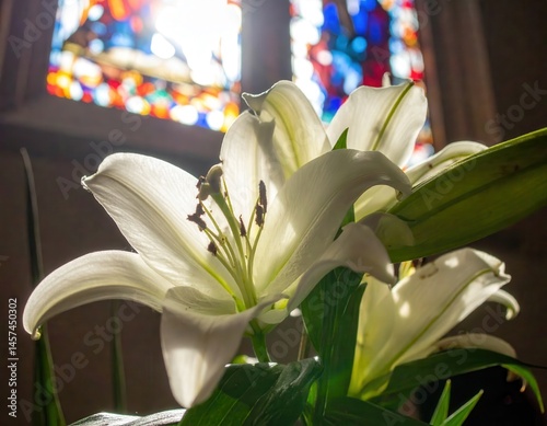 Sunlight illuminates pristine white lilies blooming near a stained-glass window, conveying a sense of serenity and reverence for Easter.