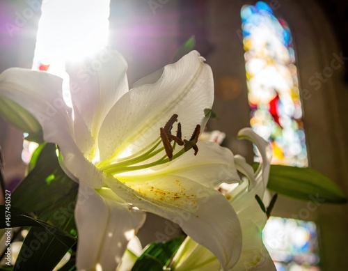 Luminous white lilies bloom gracefully near a stained-glass window, evoking a serene and hopeful Easter atmosphere.
