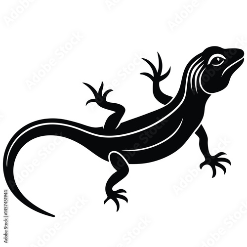vector illustration of a lizard