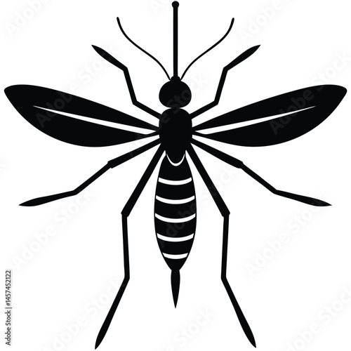 vector mosquito isolated on white
