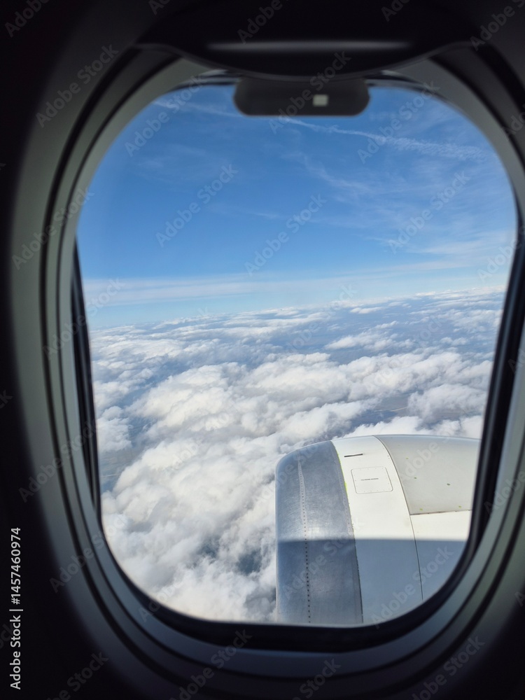 Fototapeta premium Beautiful mountain view from a plane in winter
