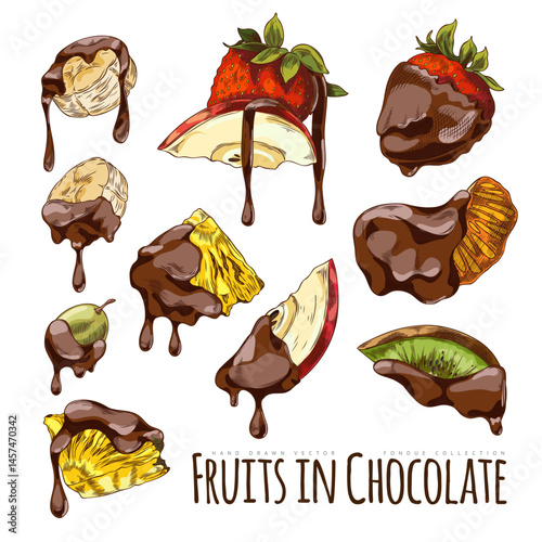 Berries and pieces of fruit with melted dark chocolate on the skewer hand drawn vector set, ingredient for fondue sketch