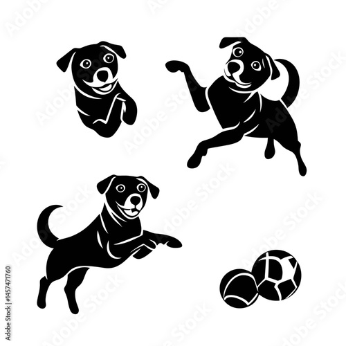 Black and white illustration of dogs in playful poses, with modern silhouettes and a simple, elegant design