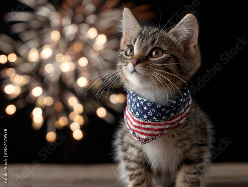 Cute kitten celebrates Independence Day with fireworks in background wearing patriotic bandana