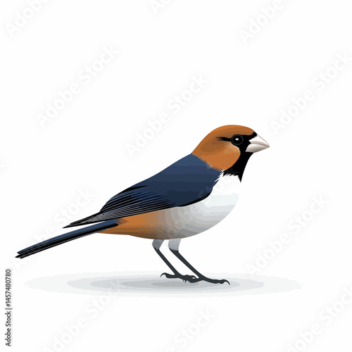 Pip vector icon, isolated on white background  -  