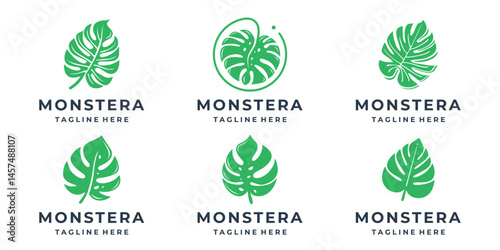 set of Monstera deliciosa Leaf Logo Vector Illustration.