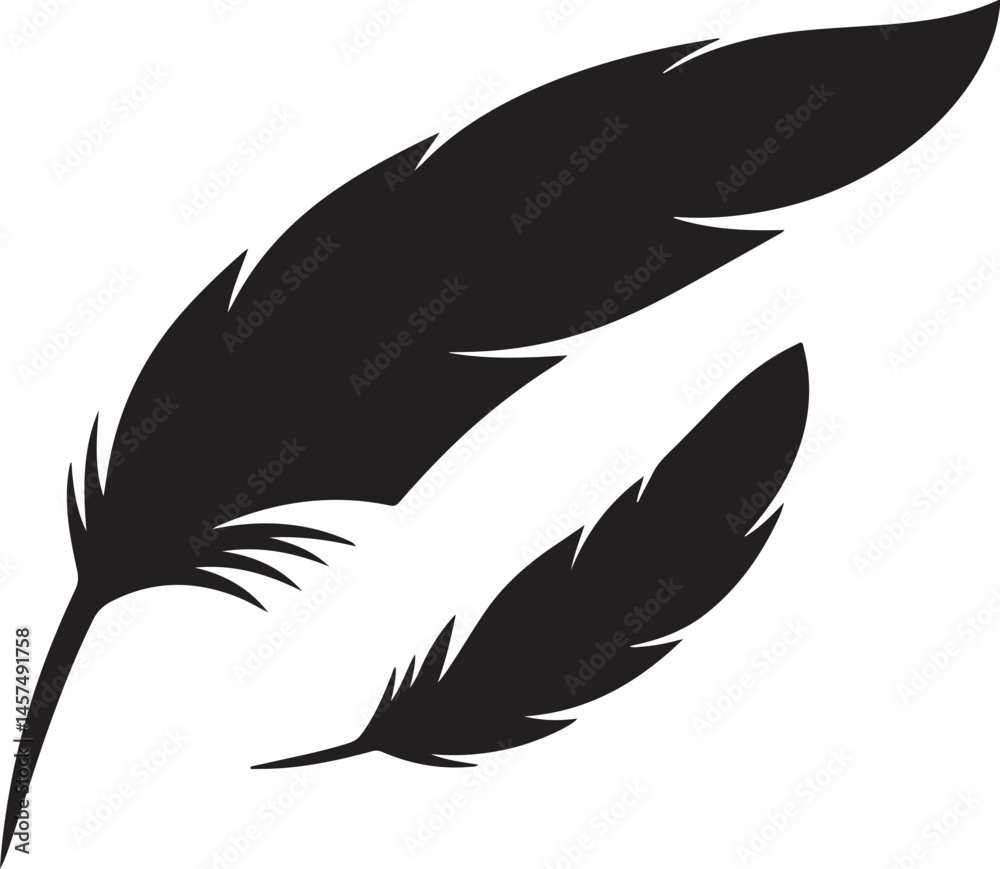 Fototapeta premium set of black feathers