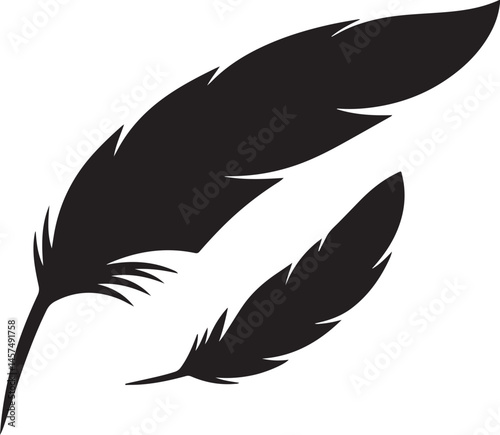 set of black feathers