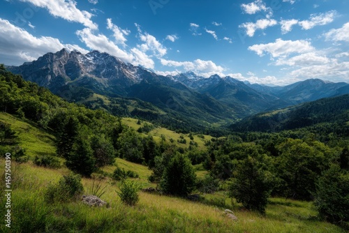 A scenic view of mountains and a valley filled with green trees