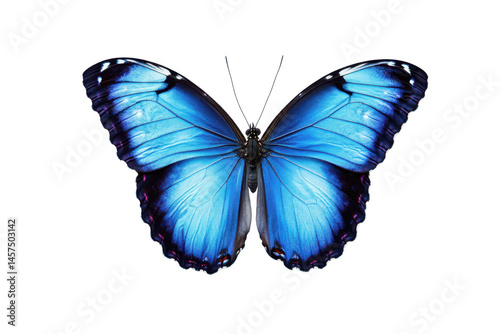 A close up of a vibrant blue butterfly with symmetrical wings against a pixelated background design photo