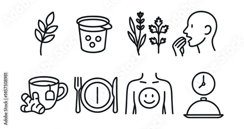 Line style icons of digestion support: fiber icon, probiotic cup, digestive herbs, chewing tip, ginger tea, food spacing, calm belly, meal rhythm.
