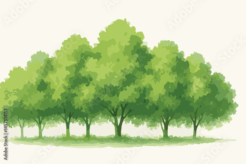 Vector watercolor green tree or forest side view isolated on white background for landscape and architecture drawing,elements for environment or and garden,Shrub for section