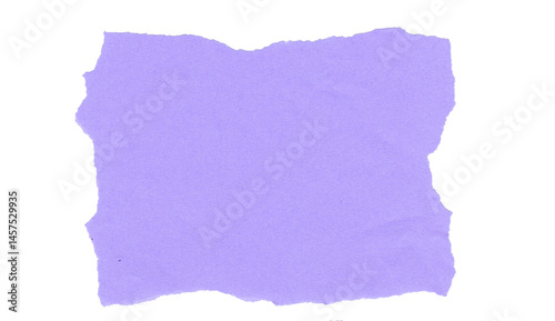 Wallpaper Mural torn purple paper on transparent background Torontodigital.ca