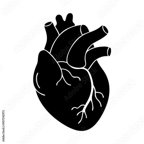 Stylized monochrome anatomical heart graphic with veins isolated on white backdrop