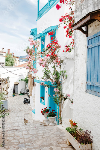 Charming street in a Mediterranean village adorned with colorful flowers