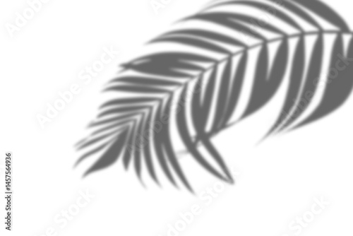 Shadow Photo Overlays Photoshop Effect Layer Image Photography 