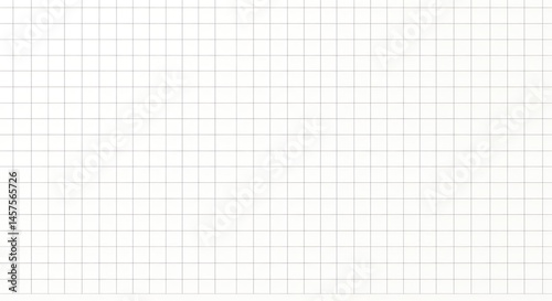 A flat drawing of a sheet of graph paper — white background
