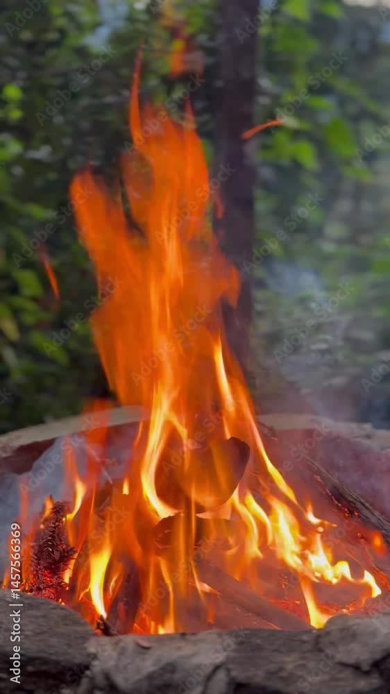 bonfire close-up (reels)