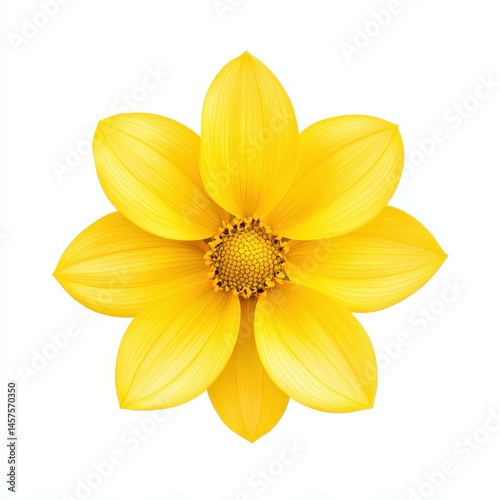 Bright yellow flower stands out against a clean white backdrop, showcasing its vibrant color and delicate petals. Ideal for cheerful decor.