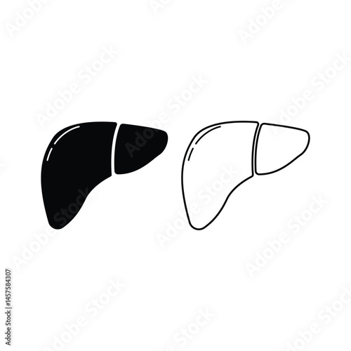 liver icon vector design concept silhouette and line style