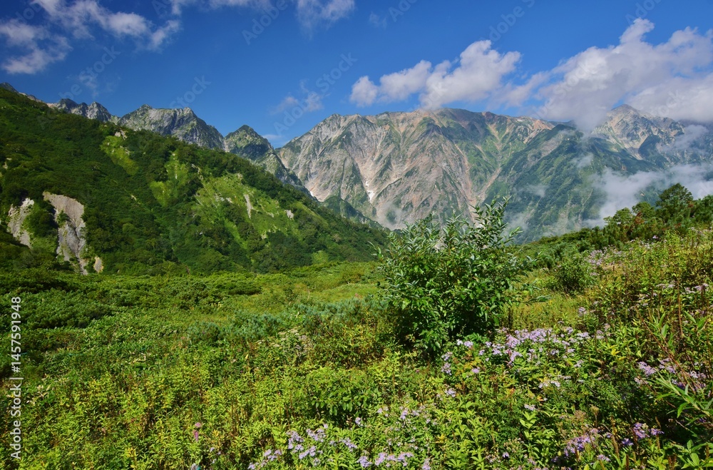 Naklejka premium 夏の白馬八方ハイキング