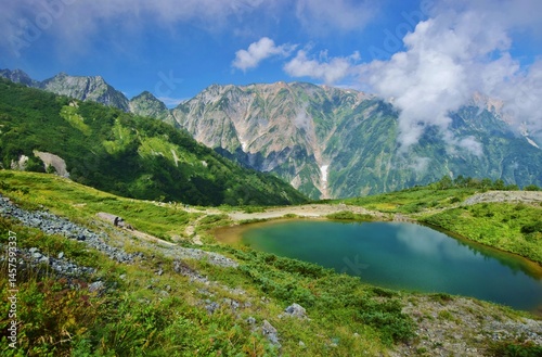 夏の白馬　八方池 photo