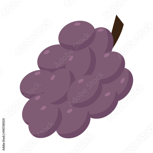Grapes thanksgiving fruit. Vector