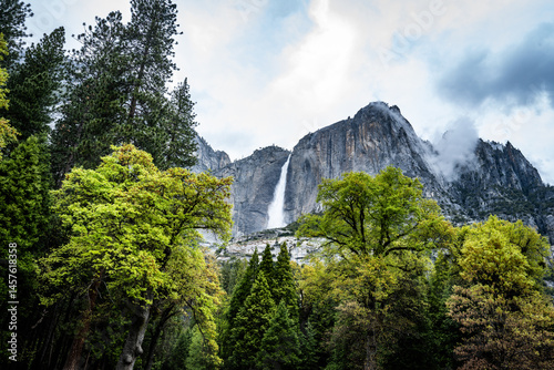 Quadro su tela Yosemite National Park including Half Dome, Maricopa Grove, Bridal Veil Falls, a