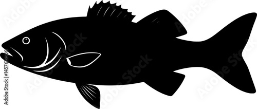 Striped bass fish silhouette
