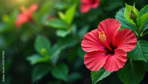 Bold hibiscus flowers, lush green foliage, all-over print, plant, art
