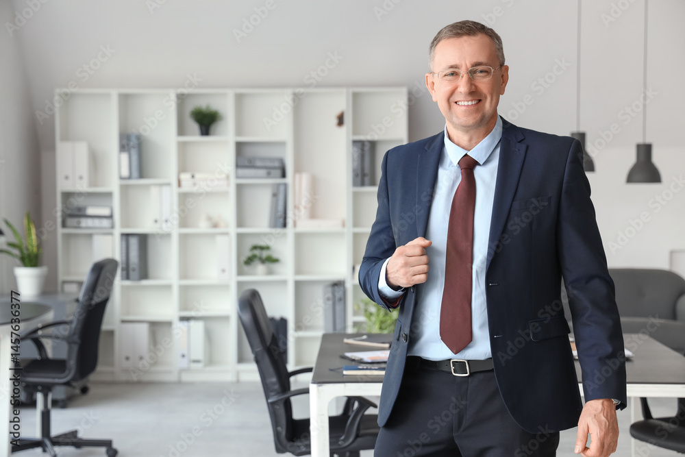 Portrait of handsome mature businessman in light office Portrait of handsome mature businessman in light office