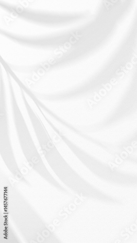 Soft Leaf Shadows on White Wall with Minimalist Light Gray Tone