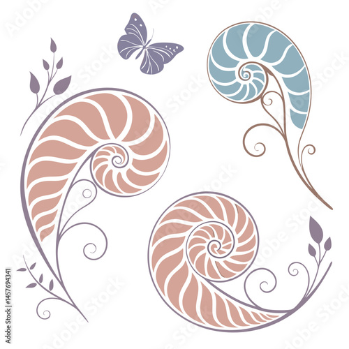 Elegant Floral Nautilus Elements With Butterfly Delicate Decorative Vector Design