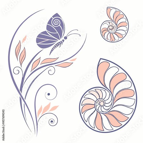 Elegant Butterfly Botanical Design With Nautilus Shell Illustration For Background Pattern