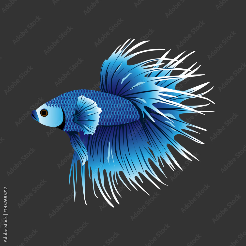 Fototapeta premium Betta fish crown tail blue color.