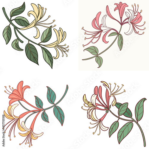 A honeysuckle flower icon with tubular petals and curling tendrils.