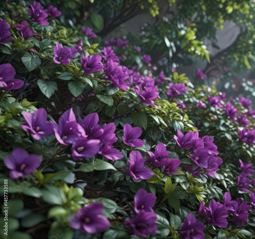 Close-up vibrant purple petals, lush green leaves ,  background,  photography,  picture
