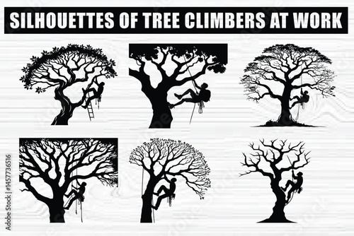 Silhouette Art of Tree Work Climbers