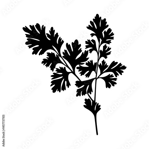 Black Silhouette Parsley Branch