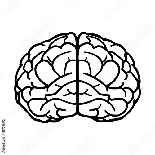 Brain Outline Vector Illustration