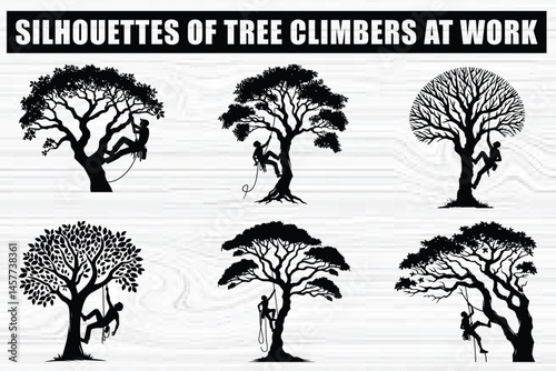 Silhouette Art of Tree Work Climbers