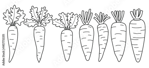 Doodle set of cute Hand drawn outline carrot  vector.