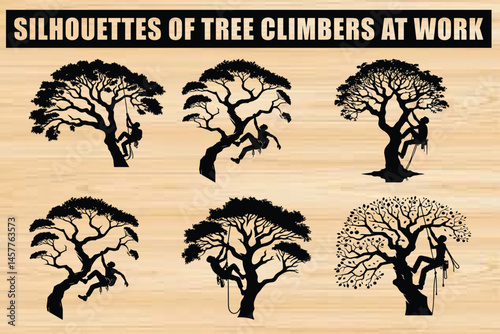Arborist Silhouettes at Work in Trees